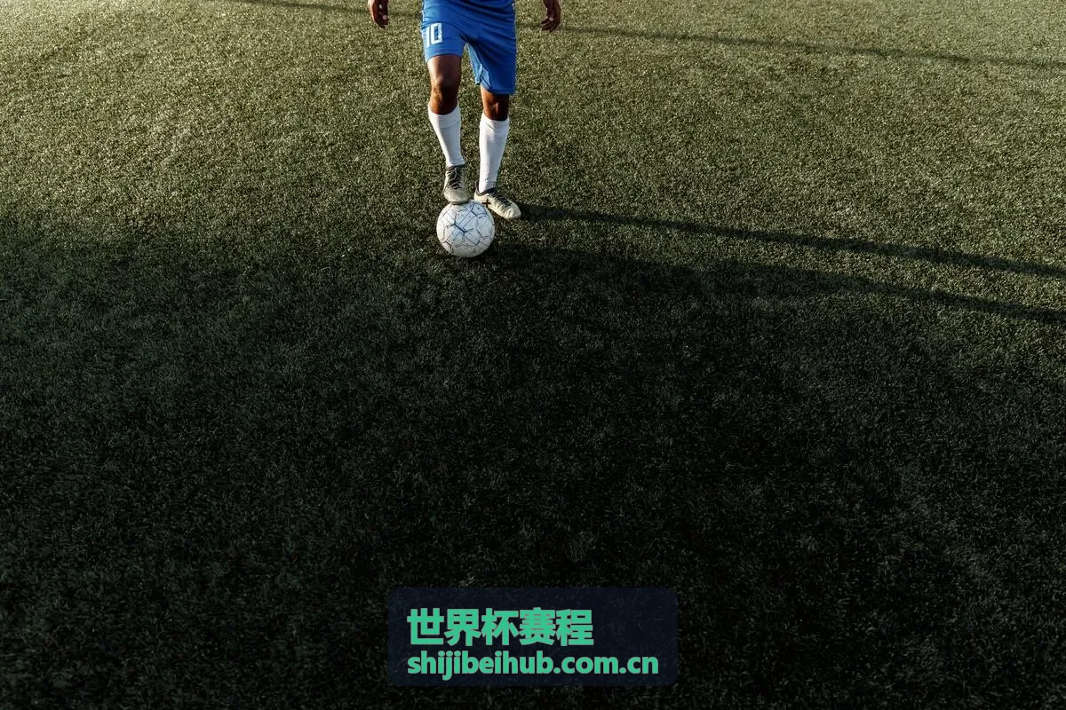 世界杯赛程大洋洲区预选赛专区